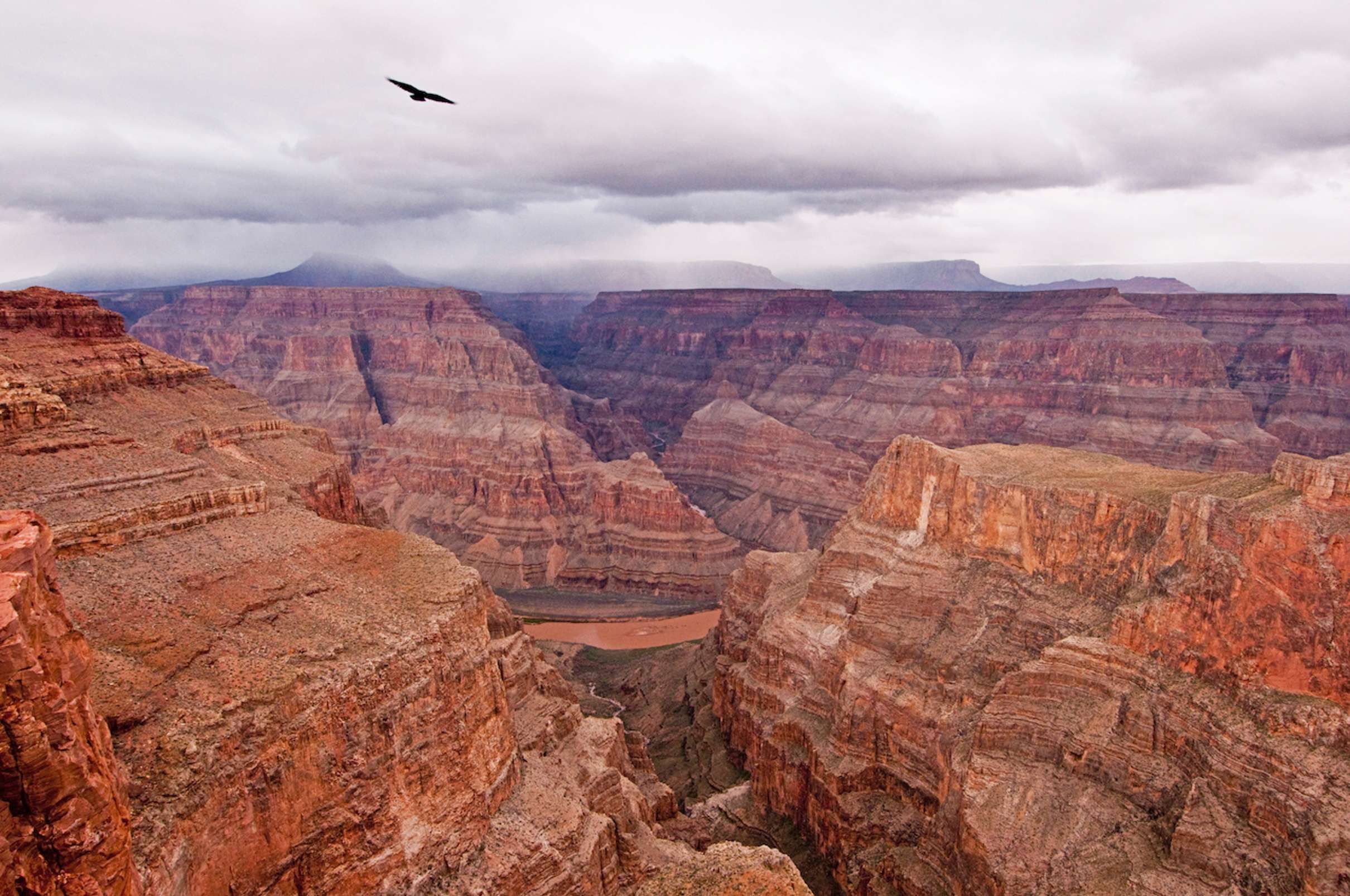 Grand Canyon Floor Helicopter Landing & Champagne Tour — photo 3