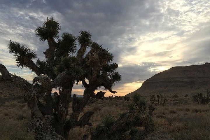 Red Rock Canyon Horseback Ride with BBQ Dinner Vegas — photo 2