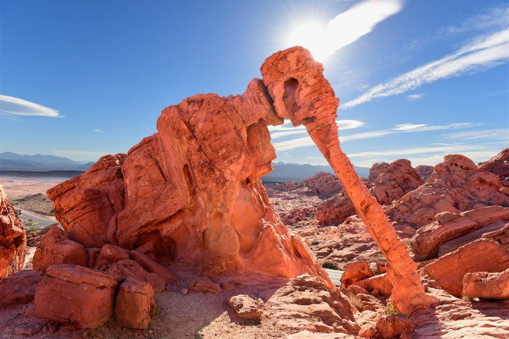 Valley of Fire VIP Desert Adventure from Las Vegas — photo 1