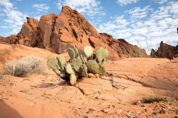 Valley of Fire Lost City Museum Day Trip Vegas — photo 2