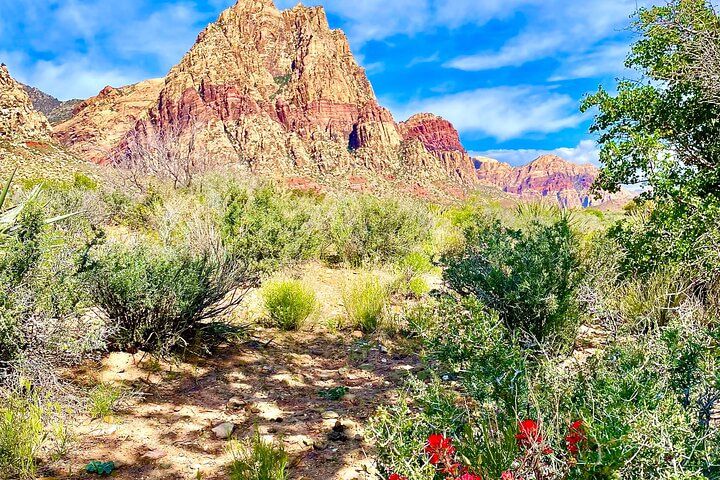 Red Rock Canyon Half Day Tour 3 Route Options Vegas — photo 2