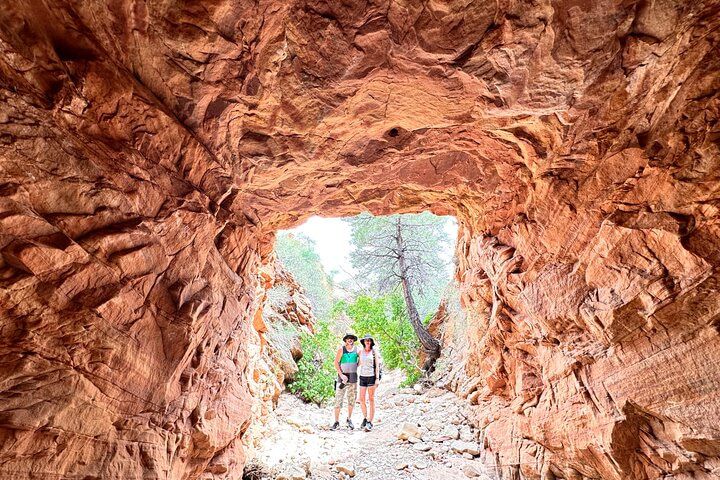 Private Zion Photography Day Trip from Las Vegas — photo 2