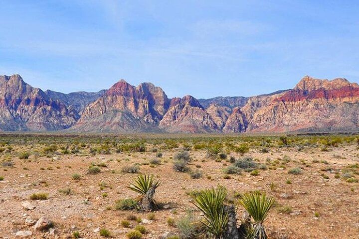 Seven Magic Mountains Red Rock Desert Art Tour Vegas — photo 2