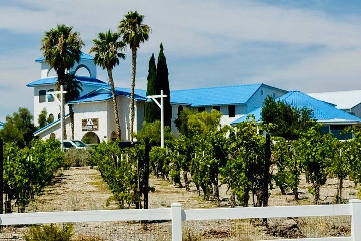 Pahrump Wine Tasting Day Trip: Small Group Desert Escape — photo 1