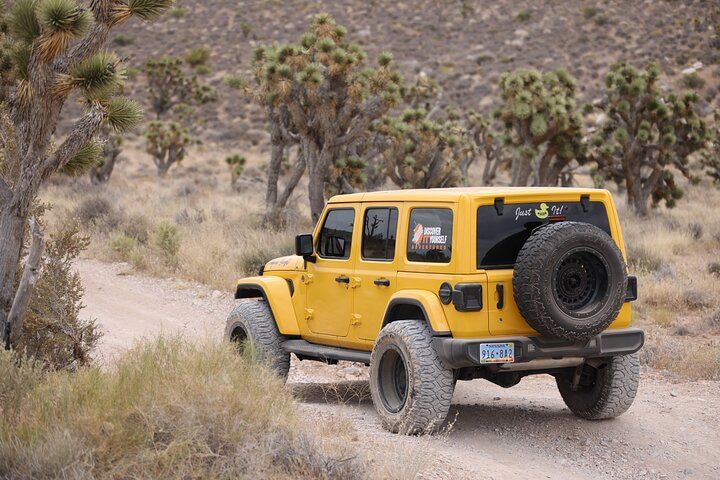 Self-Drive Jeep Mojave Desert Adventure from Las Vegas — photo 2