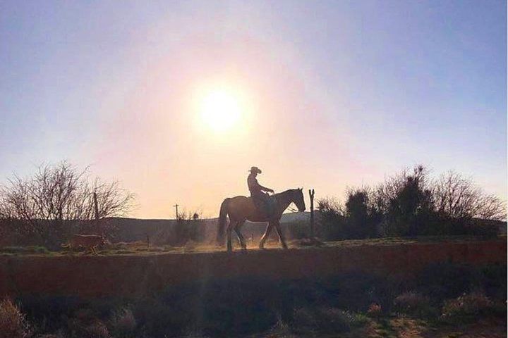 5-Hour Wild West Horseback Ride with BBQ Dinner Vegas — photo 1