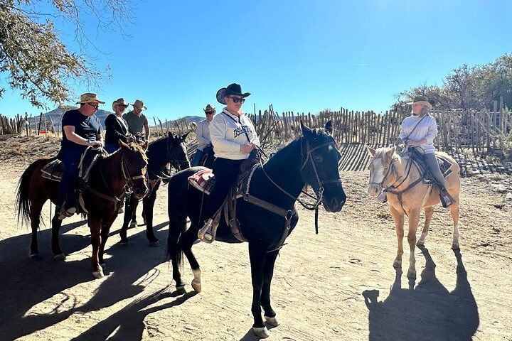 Joshua Tree Horseback Ride Buffalo Ranch Adventure Vegas — photo 1