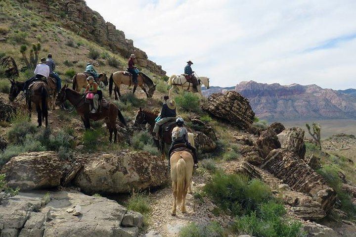 Red Rock Canyon Horseback Ride with BBQ Dinner Vegas — photo 4
