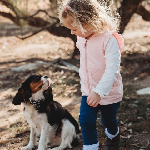 Toddler girl wearing pink vest looking at brown dog