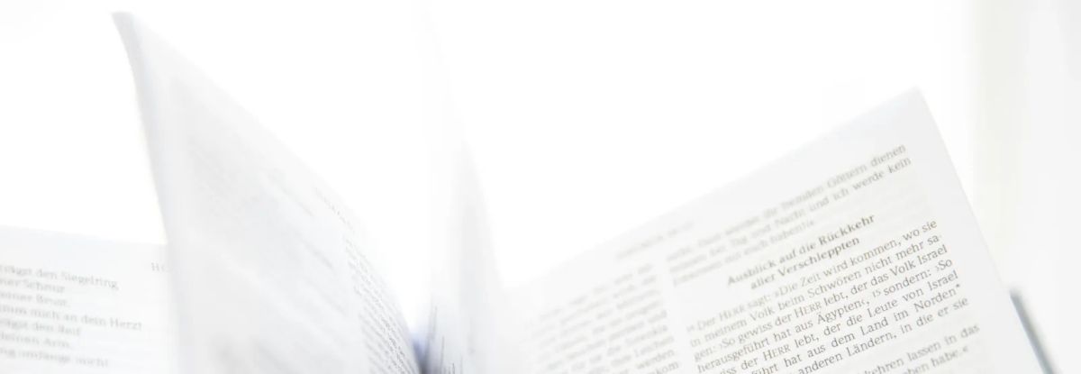 Penguin Libros: Publishing · online book sales