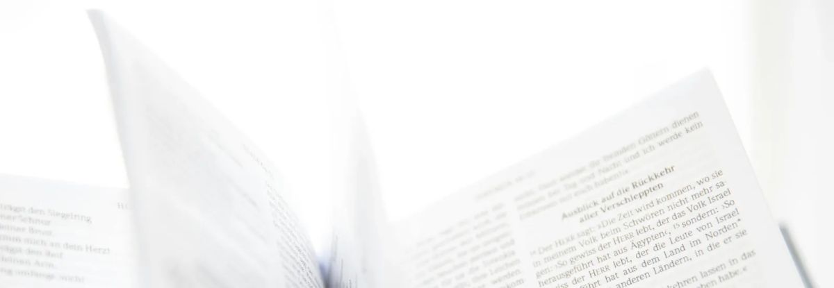 Penguin Libros: Publishing · online book sales