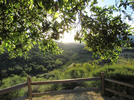 Ojai Valley, Fall 2025