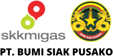 PT Bumi Siak Pusako