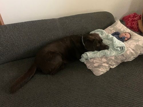 Eleonorka s pejskem Diegem
