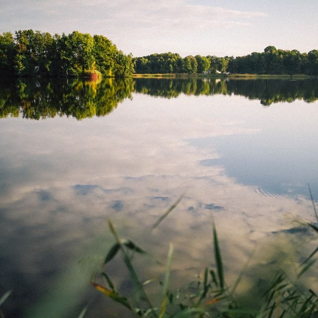 Wolken spiegeln sich im See