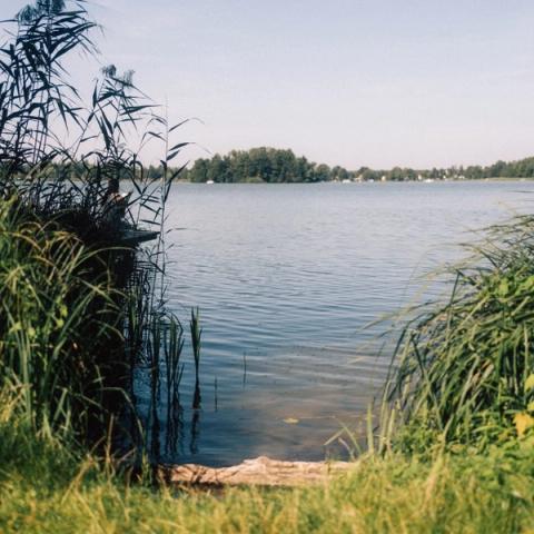 Blick auf den Teupitzer See