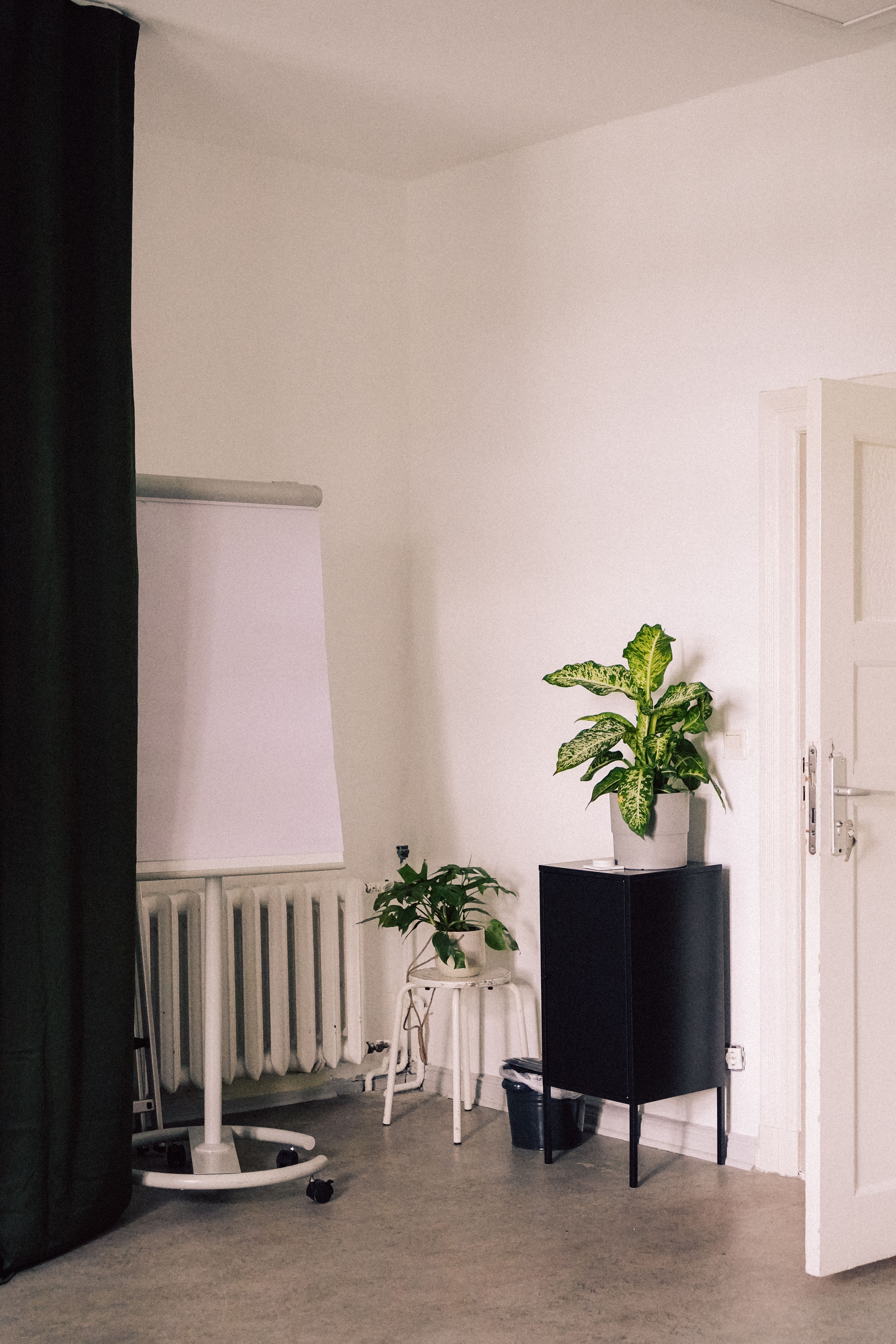 Flipchart, Zimmerpflanze und dunkle Vorhänge im Workshopraum Seeblick der Villa Neupitz