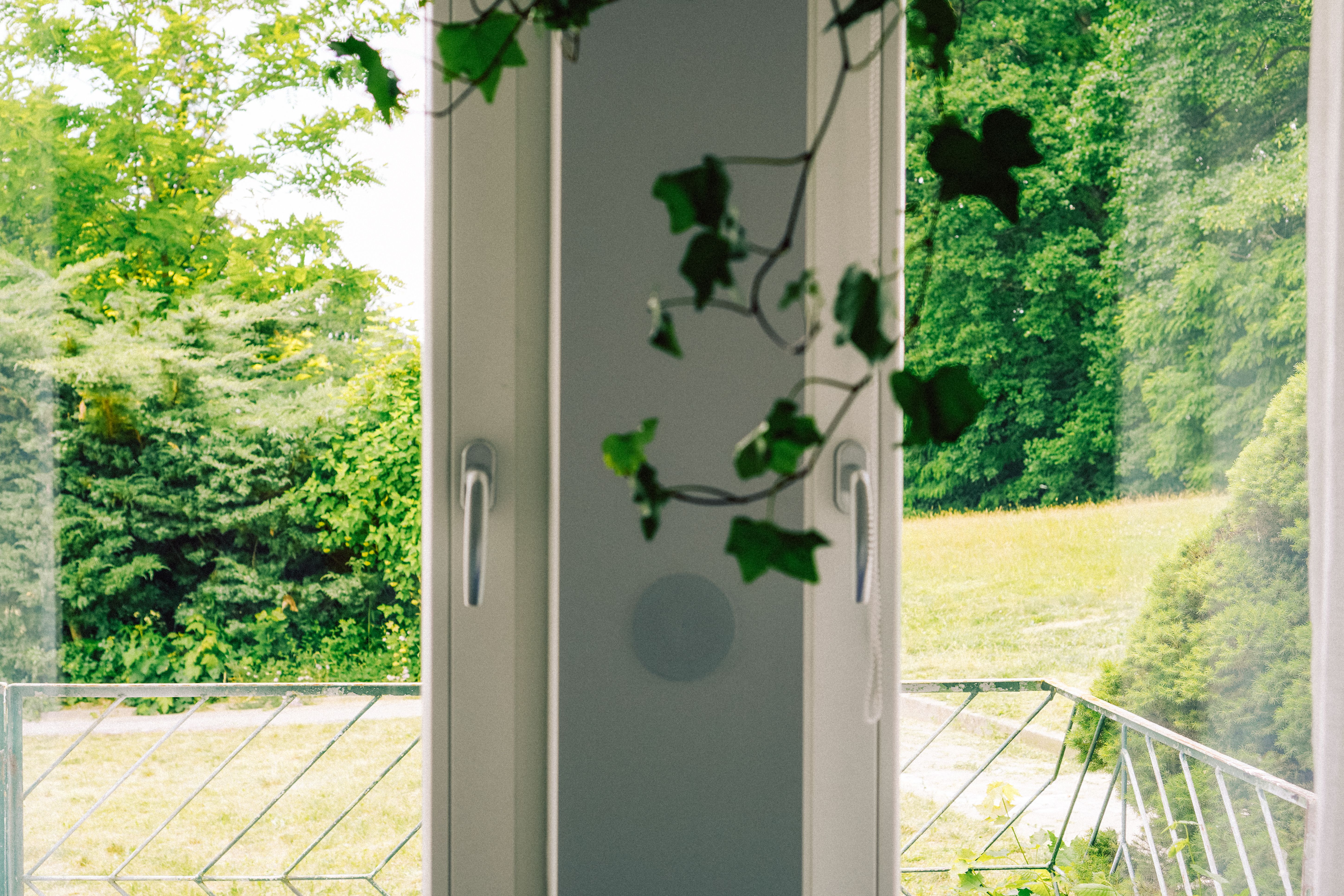 Geöffnetes Fenster mit Efeuranken und Blick auf Wiese und Bäume in Neupitz