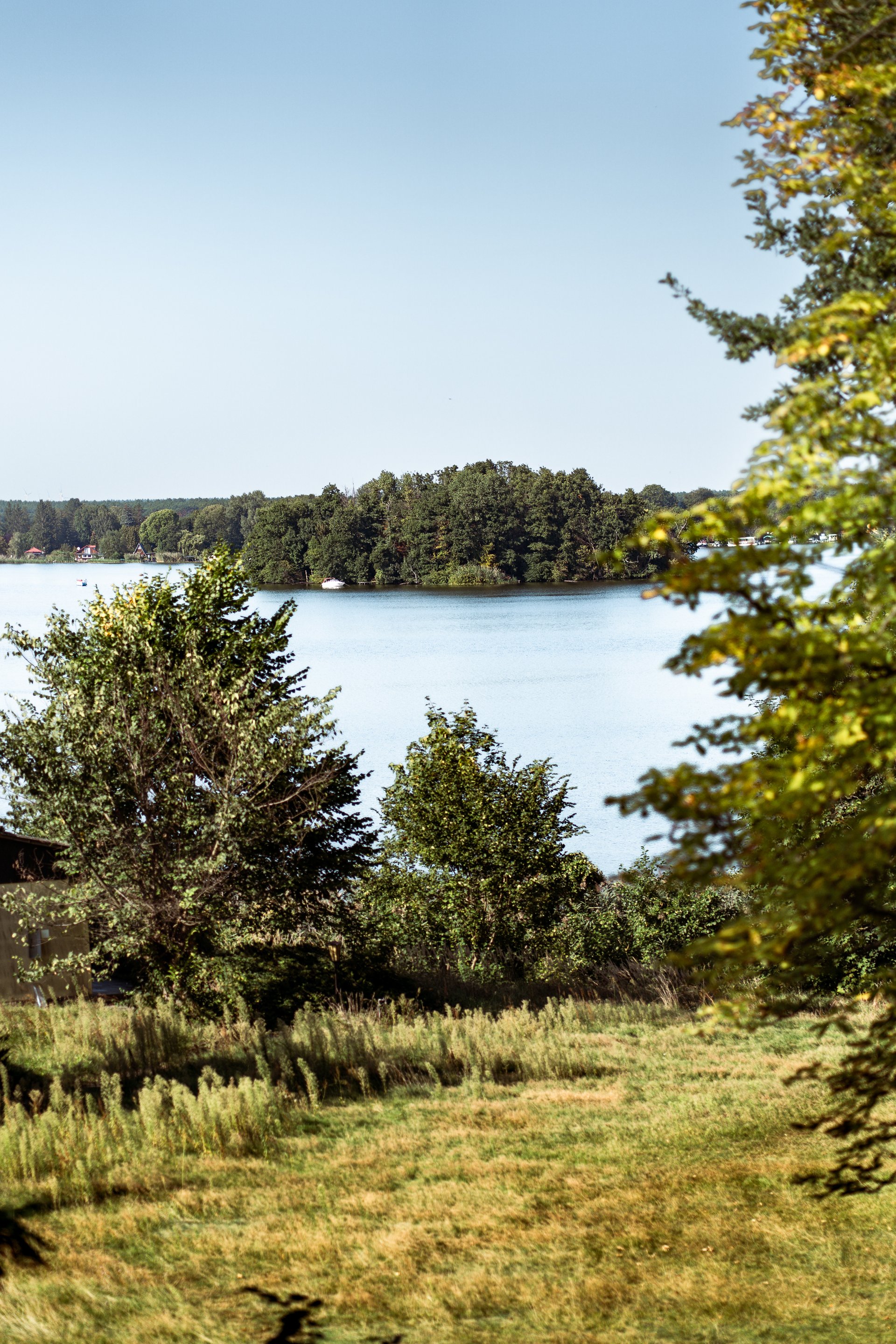 Blick zwischen Bäumen hindurch auf den Teupitzer See, Natur 45 Minuten von Berlin
