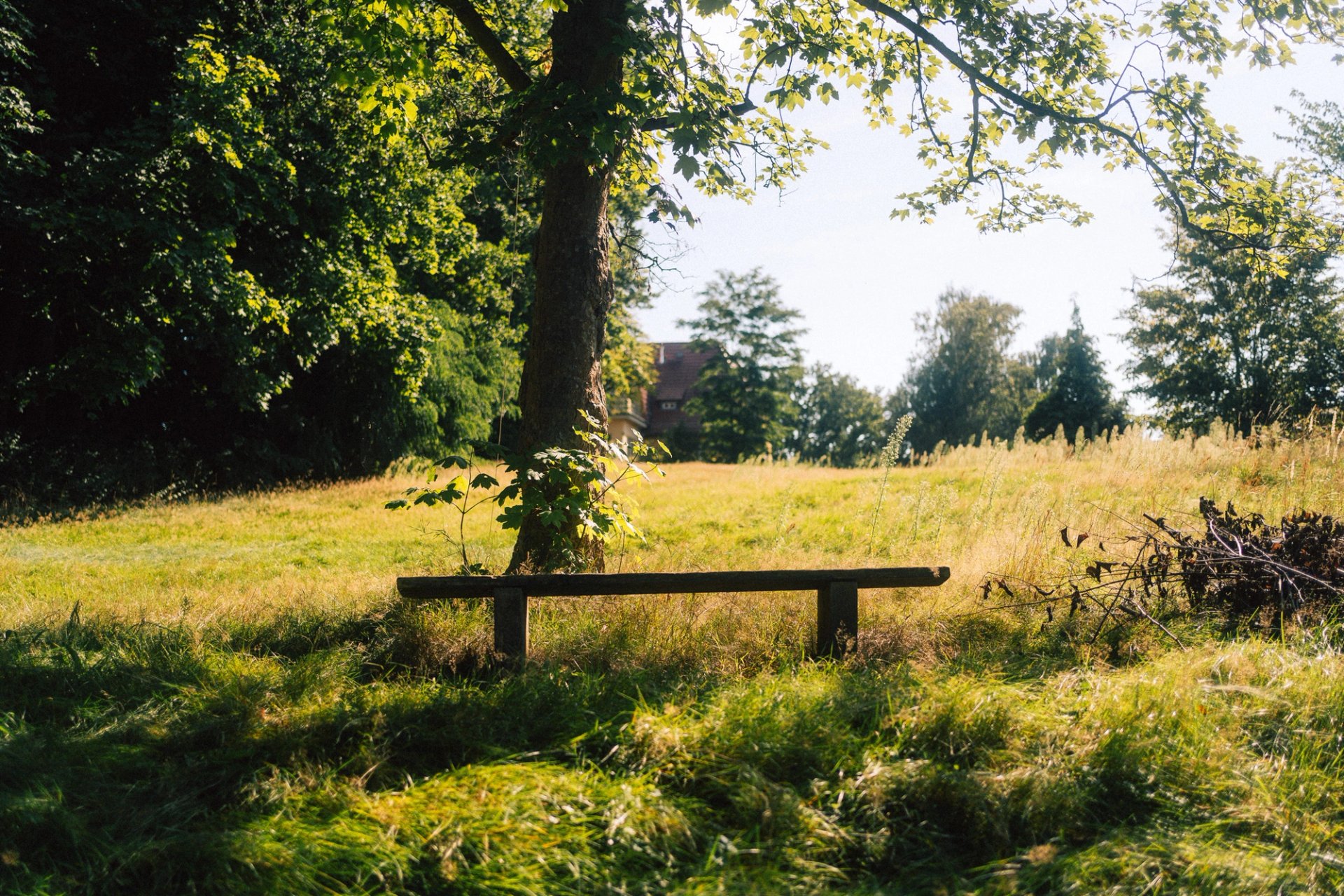 Holzbank auf sonniger Wiese am Waldrand mit Blick auf die Villa als Platz für Pause und Gespräche