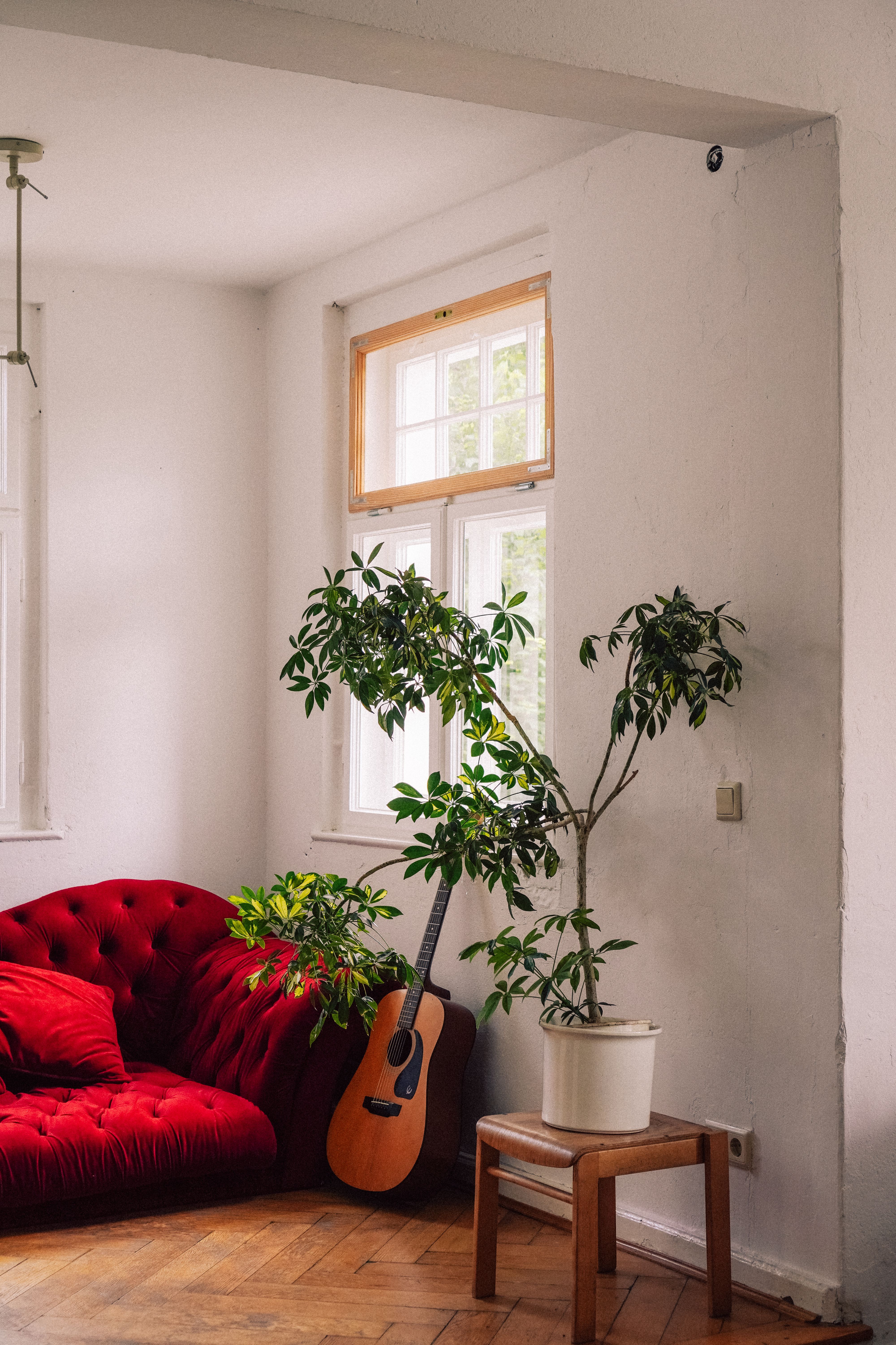 Rotes Sofa, Gitarre und Zimmerpflanze in einer gemütlichen Ecke des Kleinen Saals