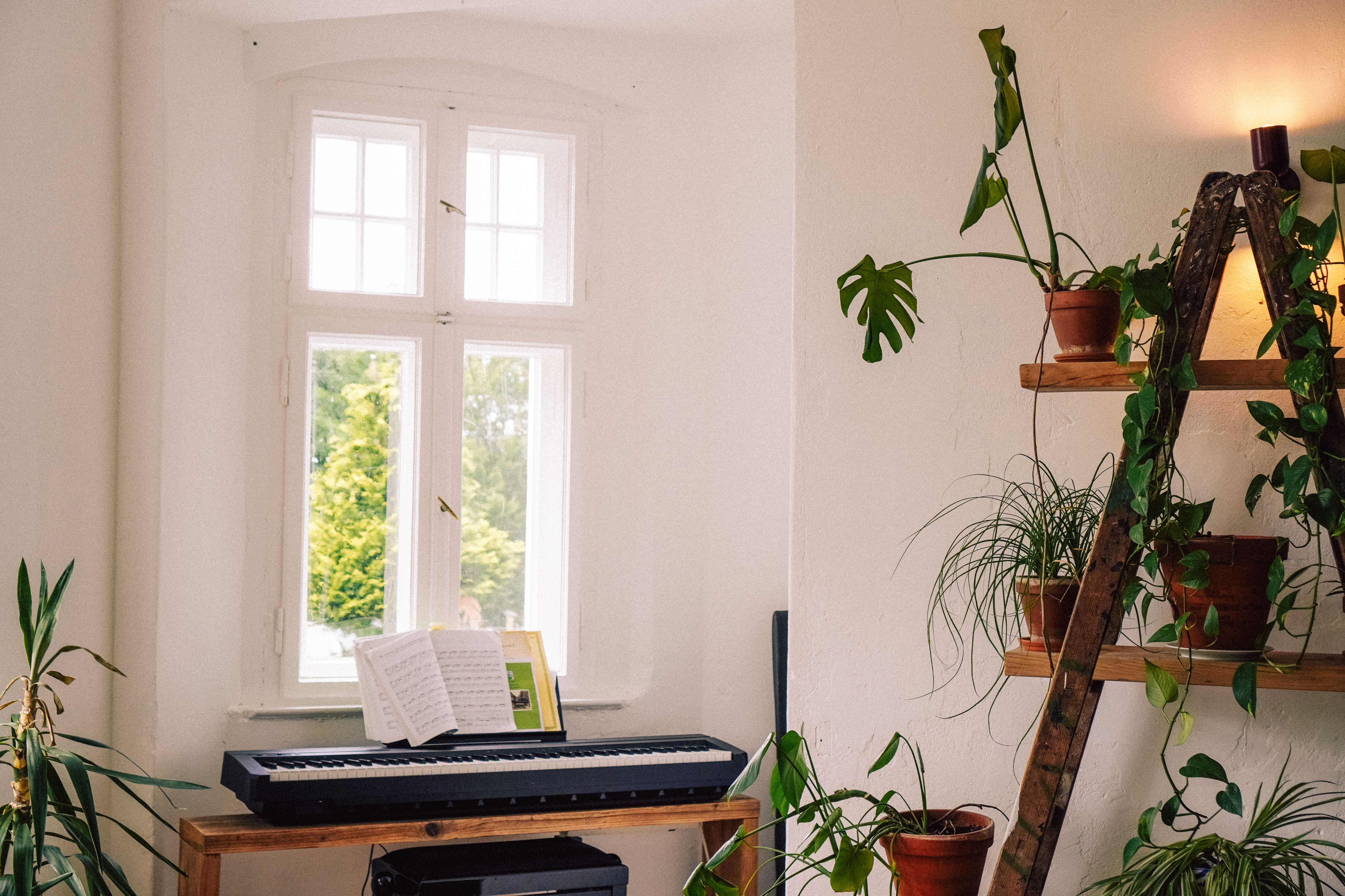 E-Piano am Fenster, daneben eine Leiter mit Zimmerpflanzen im Kleinen Saal