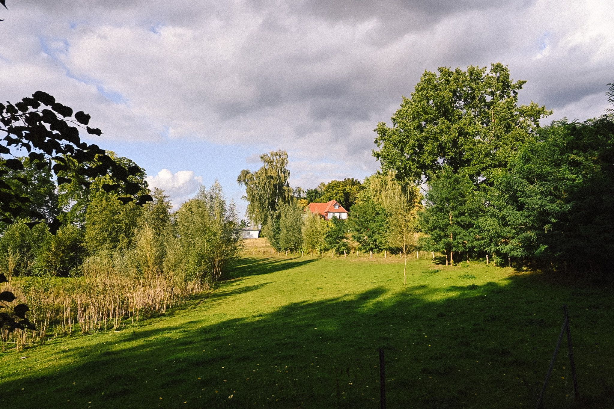 Weitläufige Wiese auf dem Gelände von Neupitz, im Hintergrund ein Haus mit rotem Dach zwischen Bäumen