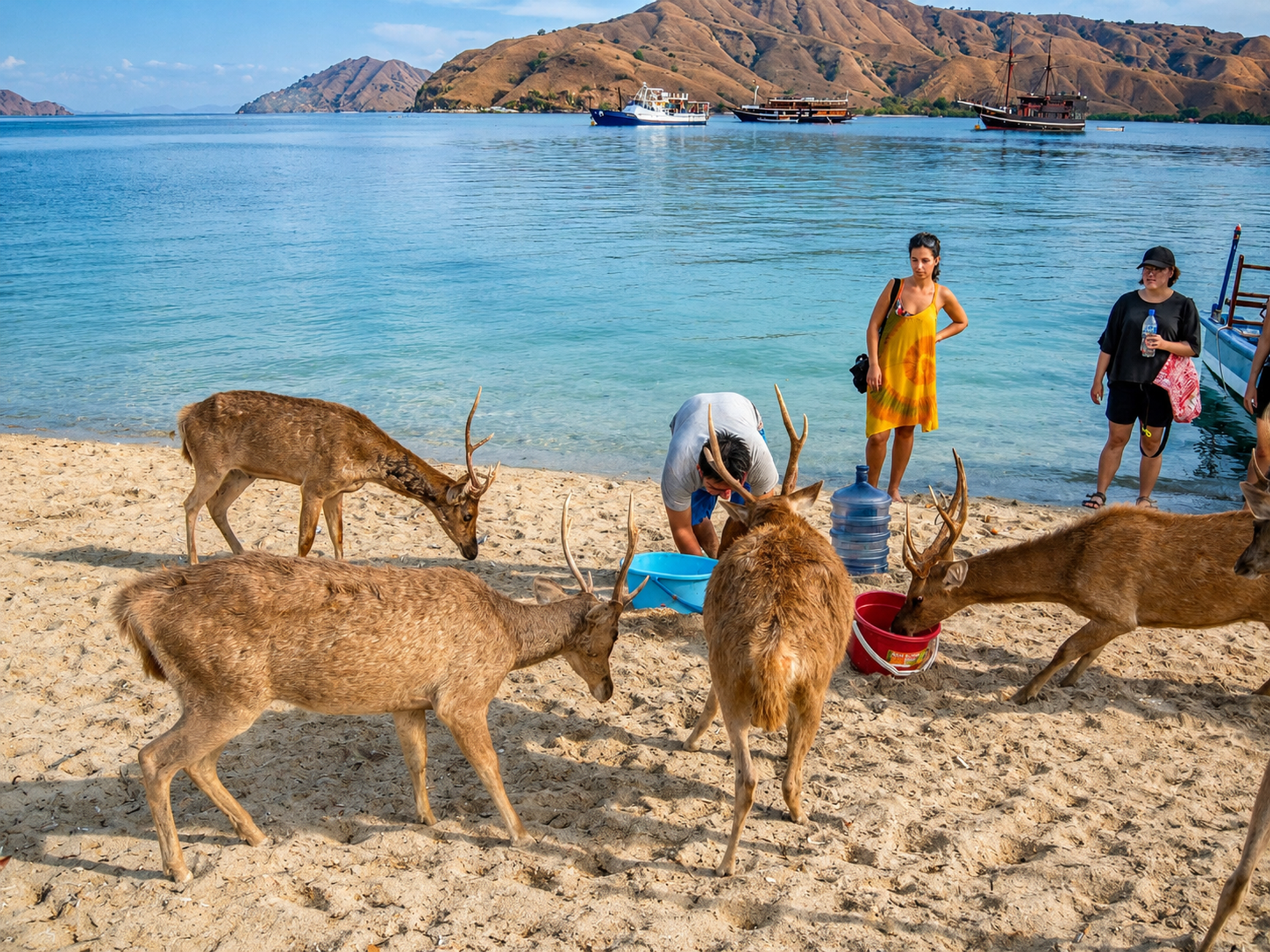 Mari at anchor off a Komodo island