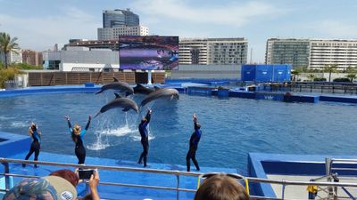 Albergue "Entrenaranjos"