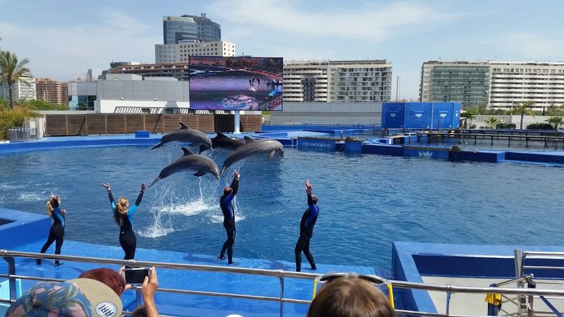 Albergue "Entrenaranjos"