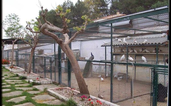 GRANJA-ESCOLA CASABLANCA