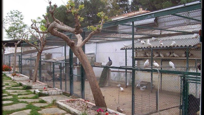 GRANJA-ESCOLA CASABLANCA