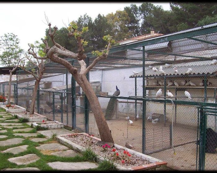 GRANJA-ESCOLA CASABLANCA