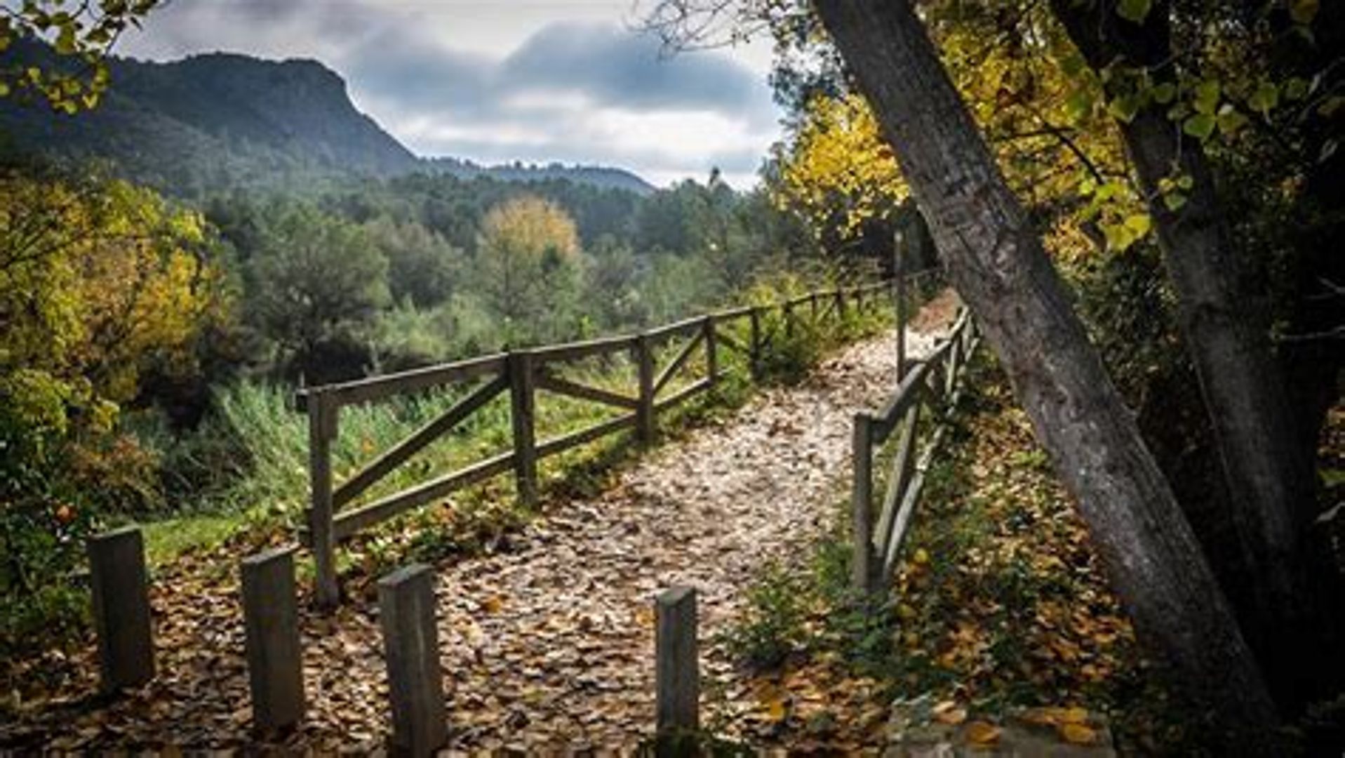 Xàtiva: El Nuevo Epicentro del Ciclismo Profesional en la Comunidad Valenciana