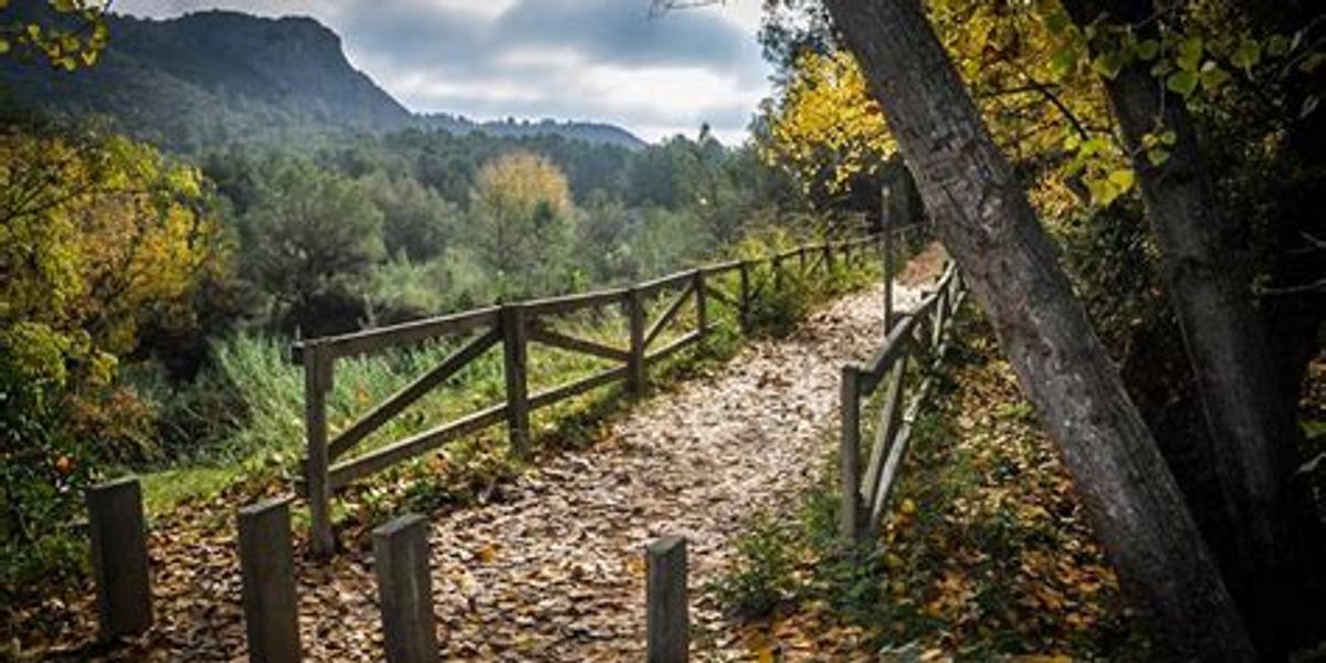 Xàtiva: El Nuevo Epicentro del Ciclismo Profesional en la Comunidad Valenciana
