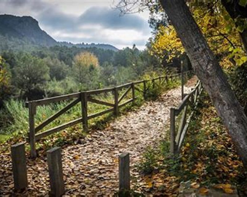 Xàtiva: El Nuevo Epicentro del Ciclismo Profesional en la Comunidad Valenciana