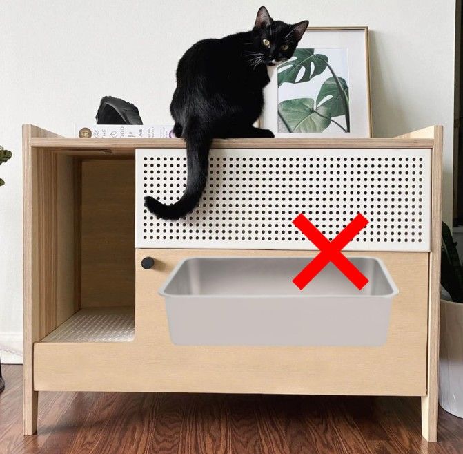 Why Preventing Territorial Stress in Multi-Cat Homes Is Essential (Even When Everything “Seems Fine”)