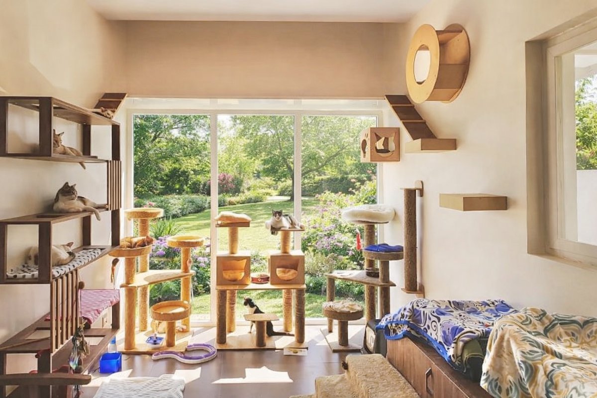 Happy Cats, Calm Owners: Tackling Problem Behaviors