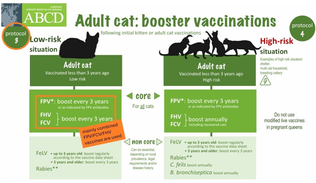 Impfung bei Wohnungskatzen: Ein moderner, risikobasierter Ansatz