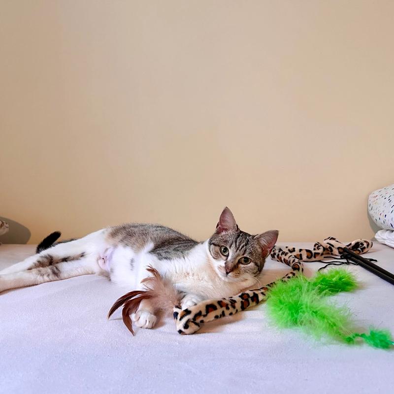 Gabby Love  - photo 1