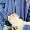 Ginger & Silver  - thumbnail 5