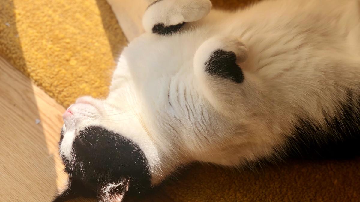 When Words Are Not Enough – About Farewell, Grief and New Light