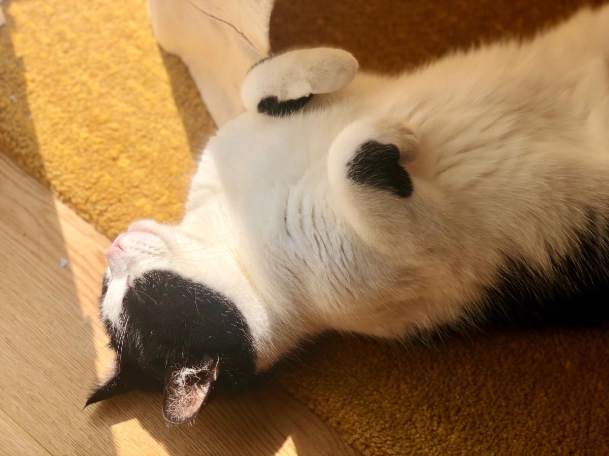 When Words Are Not Enough – About Farewell, Grief and New Light