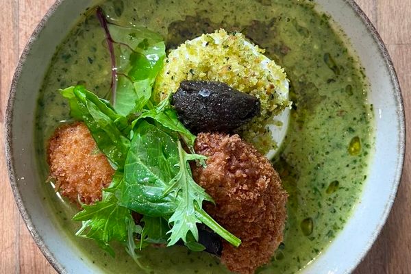 Burrata, arancini et crème au pesto