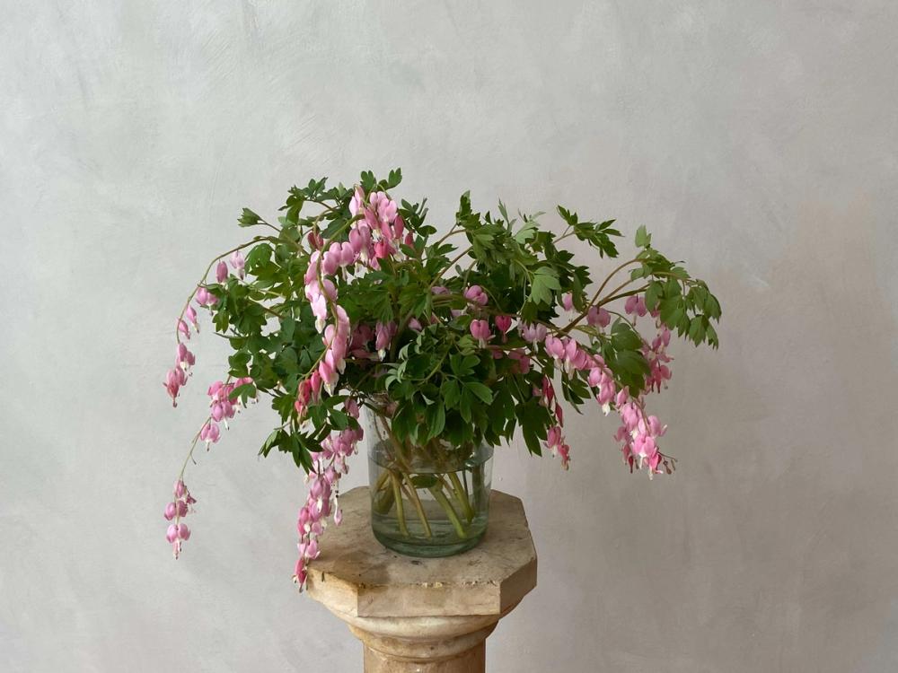 Fox Fodder Flowers Hero Slide 3 Image 1