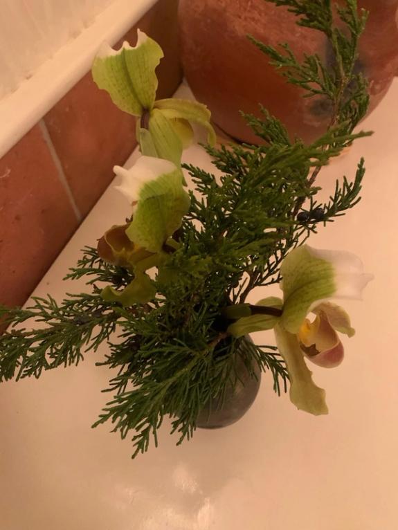 Fox Fodder Flowers image grid container slide 11