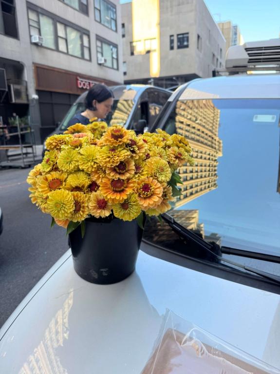 Fox Fodder Flowers image grid container slide 33