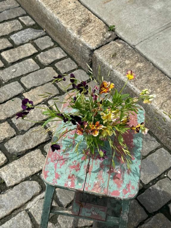 Fox Fodder Flowers image grid container slide 150
