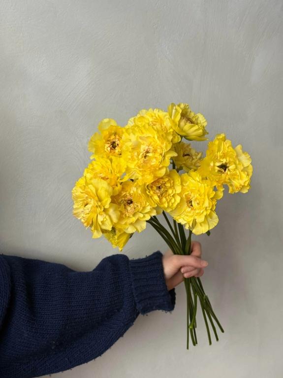 Hover Image of Yellow Charlotte Ranunculus from Japan