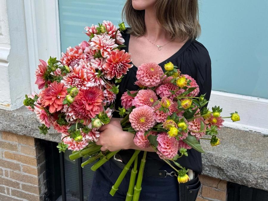 Product image in gallery for Rock Run Ashley & A La Mode Dahlias | Item 1